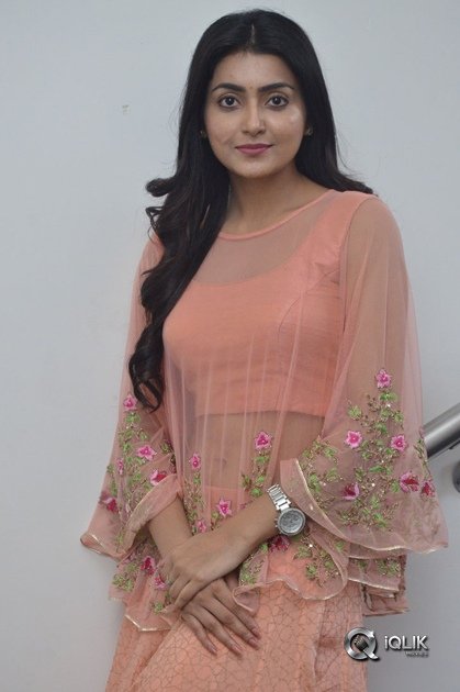 Avantika-Mishra-At-Vaishakham-Movie-Success-meet